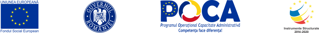 Achizițiile centralizate: ANAP prezintă modele de bune practici din UE