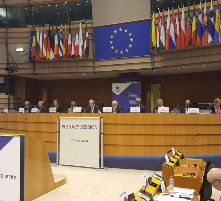 SESIUNEA PLENARĂ A COR LA BRUXELLES, 4-5 IULIE 2018