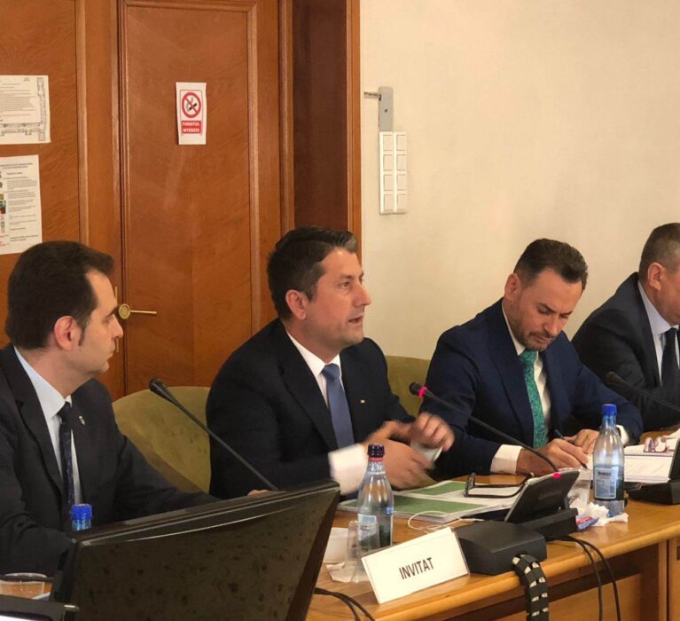 Preşedintele AMR suţine înăsprirea pedepselor pentru cei care nu respectă legea în privinţa gunoiului şi a reciclării