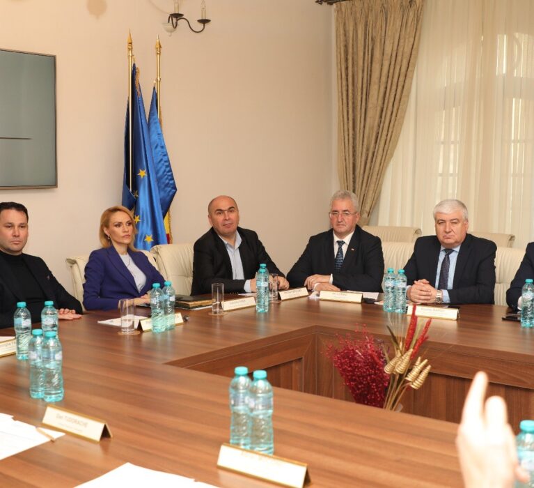 Reuniunea CD AMR, 29 ianuarie 2019