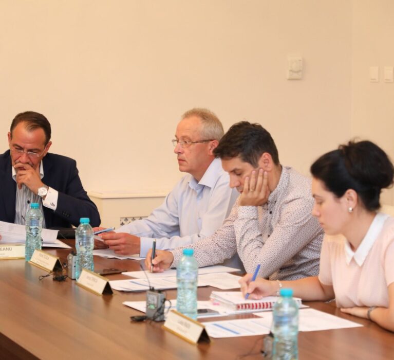 DEZBATERE PRIVIND MODALITATEA DE ACCESARE A FONDURILOR EUROPENE DE CĂTRE MUNICIPII