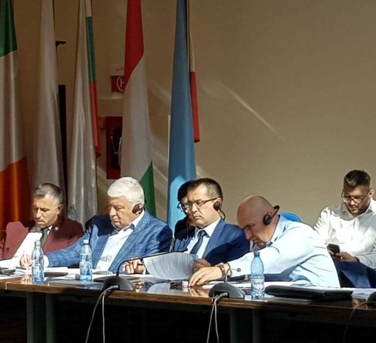 Intalnire AMR / MFE cu Comisia Europeana