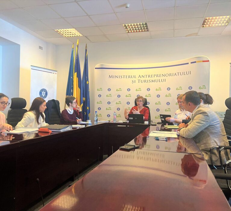 Sesiunea de lucru “Coordonarea cu autorităţile de la nivel local”, organizată în cadrul primei misiuni a OCDE