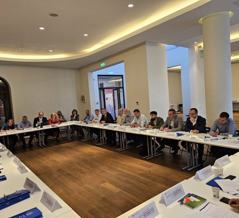 Seismele: impact multidisciplinar la adresa rezilienței naționale