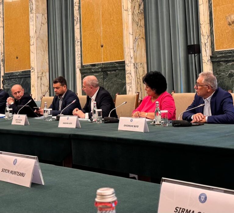 Asociația Municipiilor din România prezentă la consultările organizate de Prim-ministrul României pentru reforma administrației locale